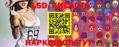 гидропоника Ставрополь