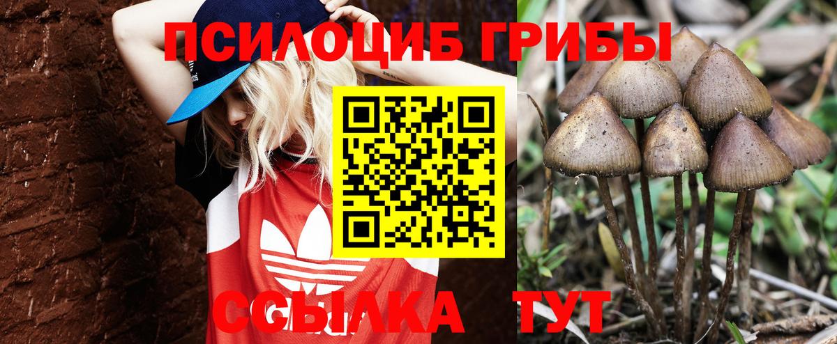 даркнет сайт  Вход с VPN  Аша  Галлюциногенные грибы Cubensis  Псилоцибиновые грибы Psilocybine cubensis 